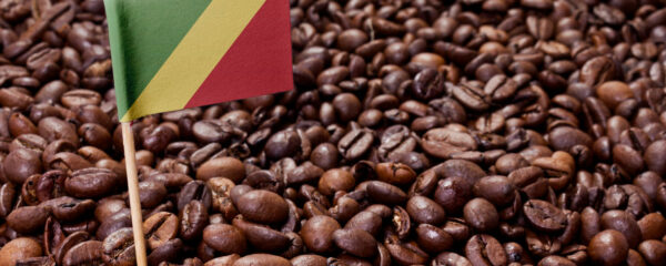 Le café du Congo